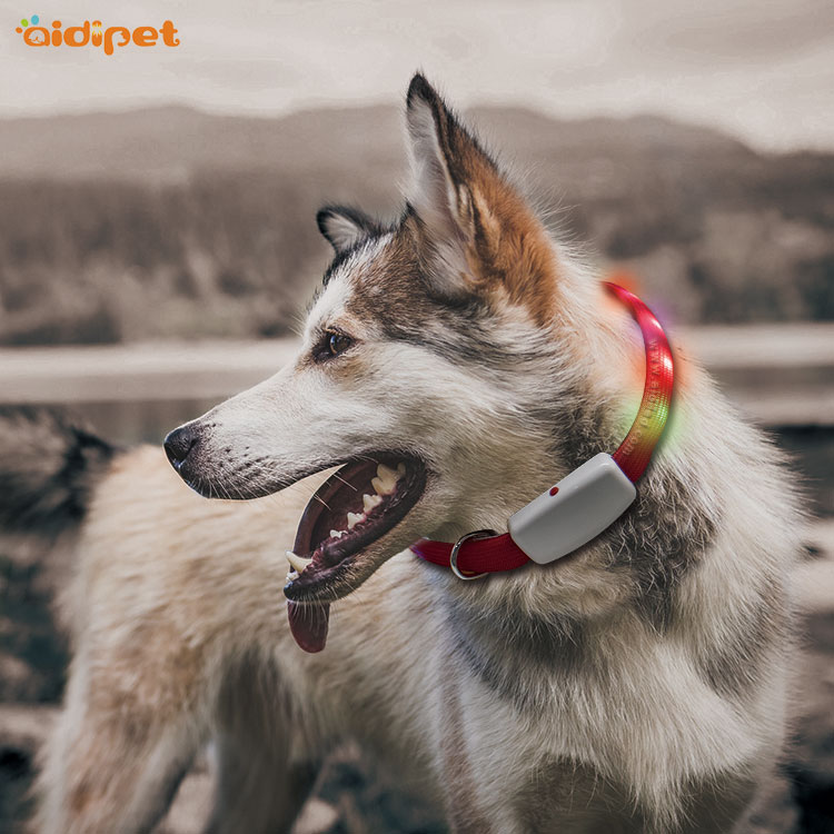 Nylon Filament Rechargeable Led Glowing Dog Collar