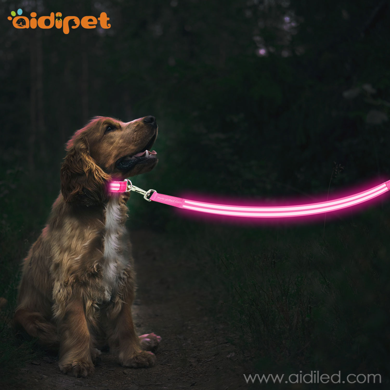 Led  Dog Leash with Fashlight AIDI-L3