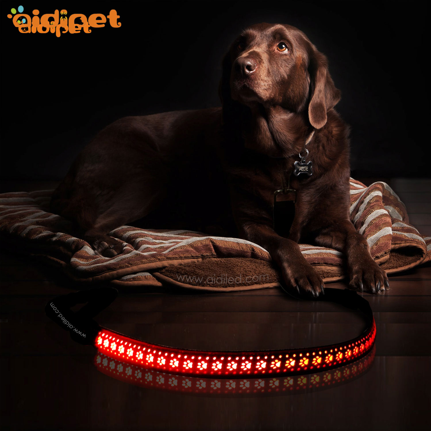 LED PU Leather Dog Leash AIDI-L6