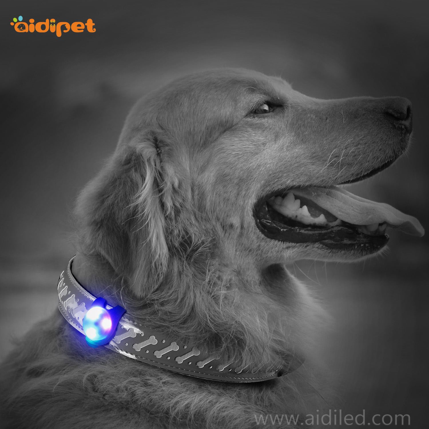 led silicone pet light AIDI-M1