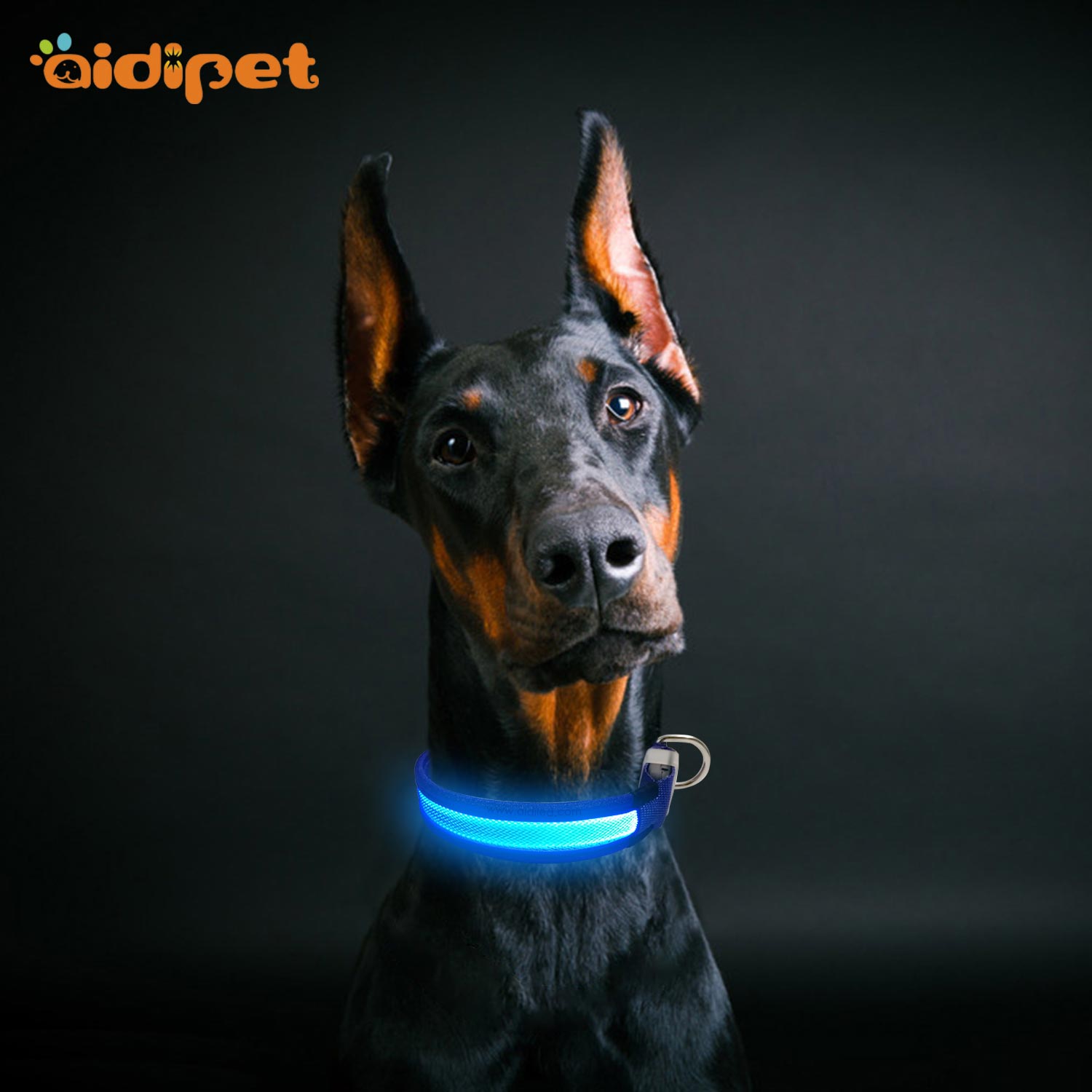 Nylon Reflective Rechargeable Led Dog Collar AIDI-C26