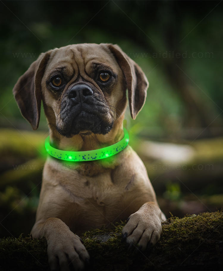 AIDI durable light up dog collar inquire now for outdoors-3