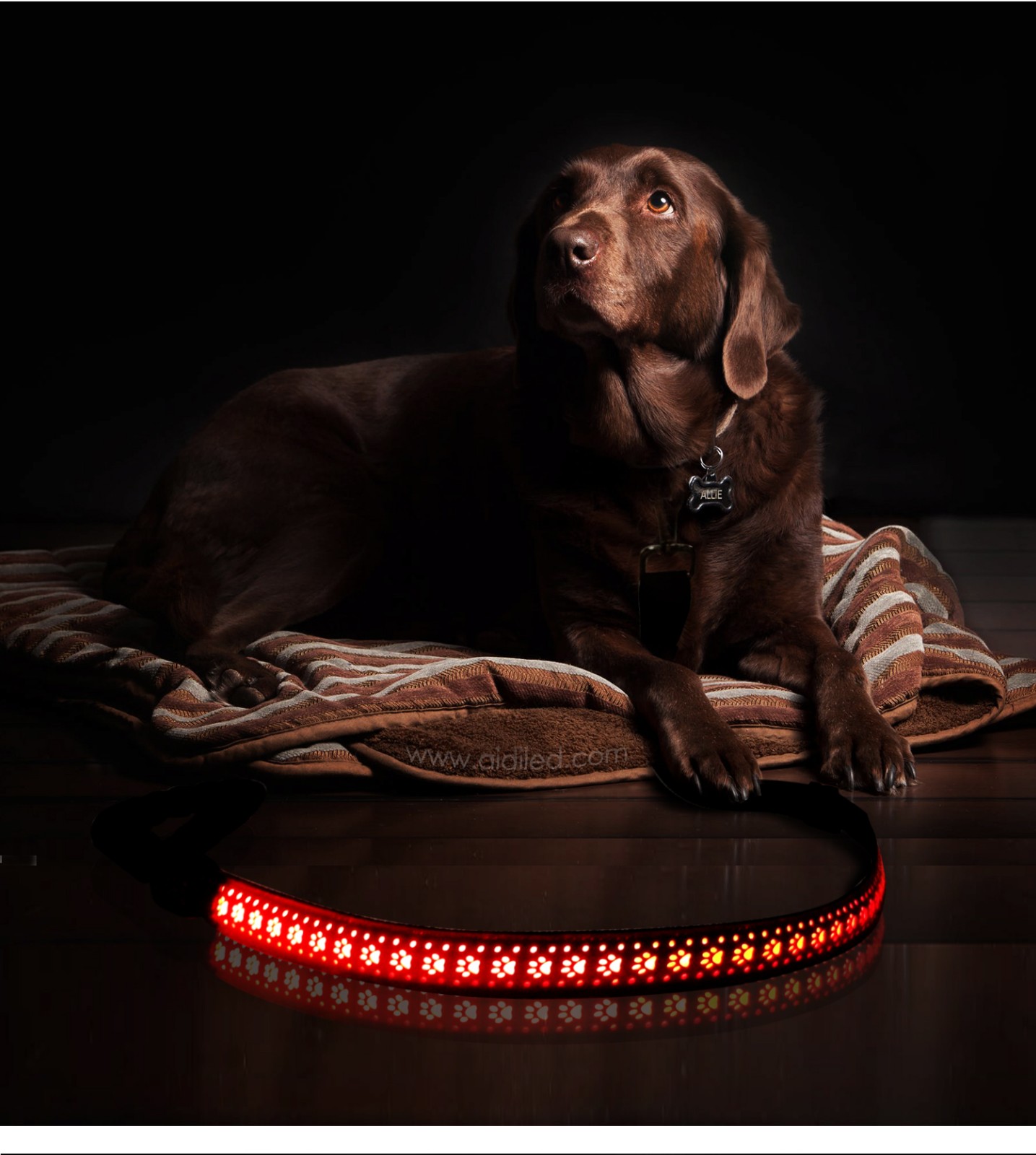 AIDI-High-quality Best Led Dog Leash | Led Pu Leather Dog Leash Aidi-l6-8