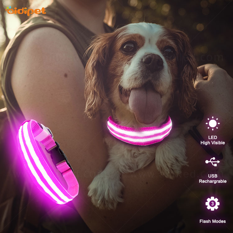 AIDI-C15 Personalized USB Rechargeable LED Dog Collar