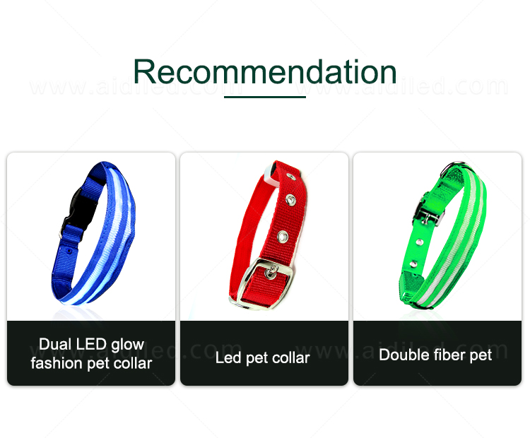 AIDI led dog safety collar design for park-4