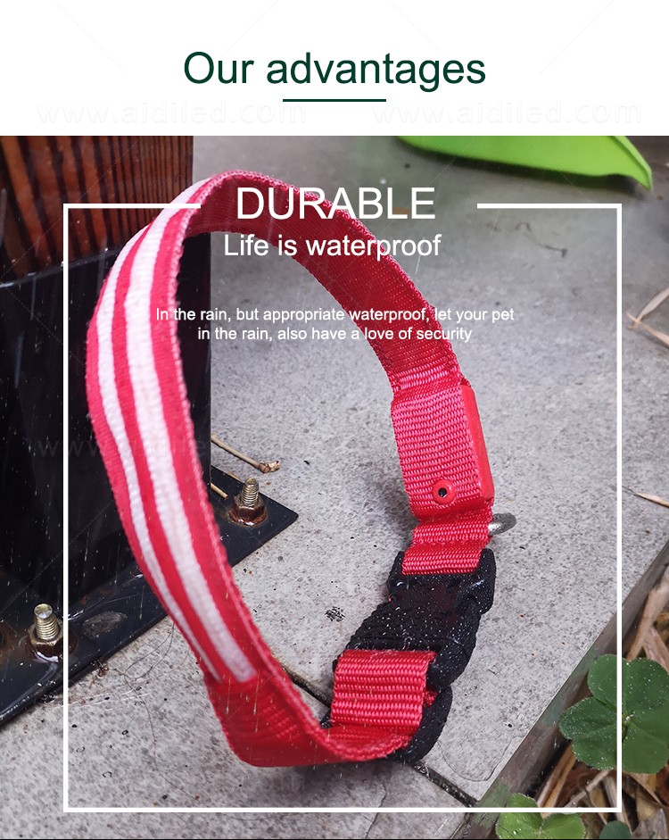 AIDI led dog safety collar design for park-5