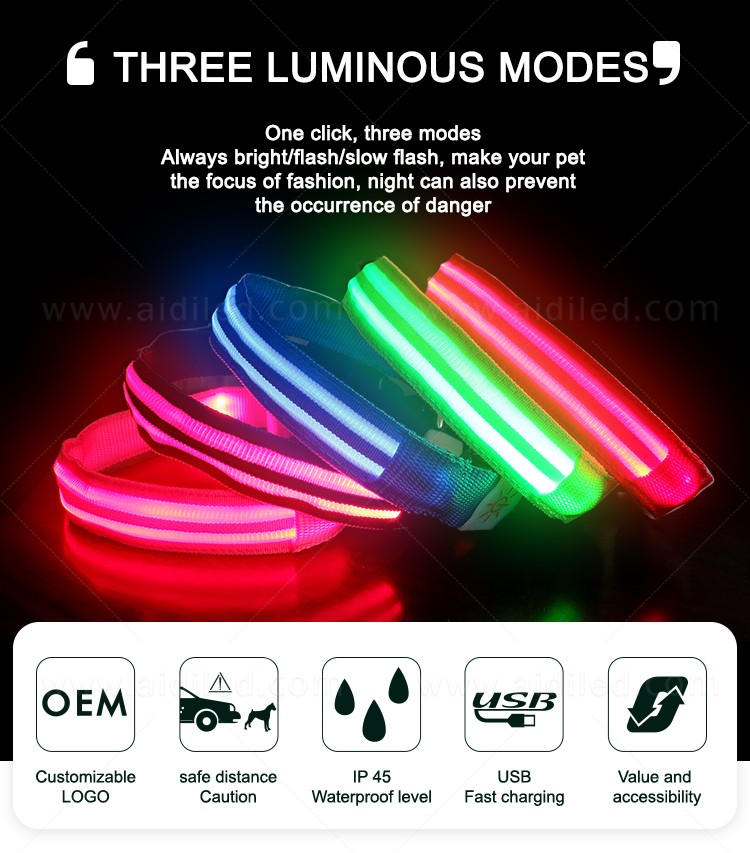 AIDI led dog safety collar design for park-6