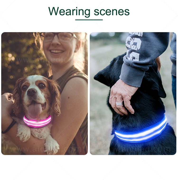 AIDI led dog safety collar design for park-12