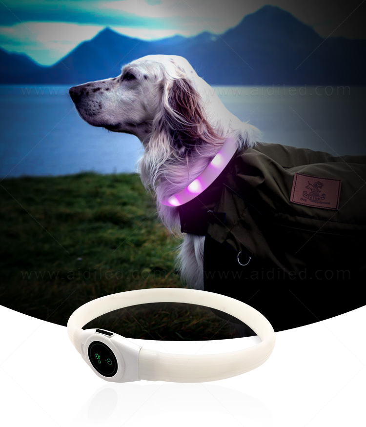 reflective lighted dog collars waterproof factory for park-2