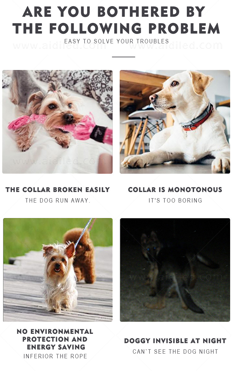 reflective lighted dog collars waterproof factory for park-5