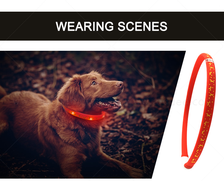 AIDI durable light up dog collar inquire now for outdoors-12