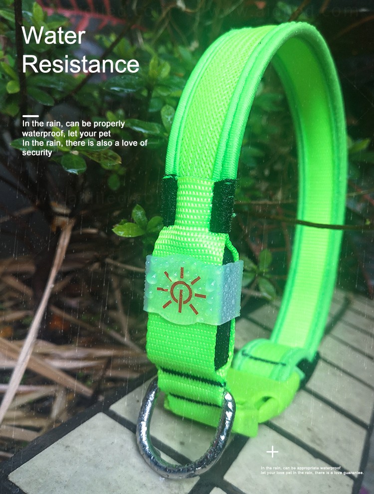 silicone dog collar lights waterproof inquire now for pet-5