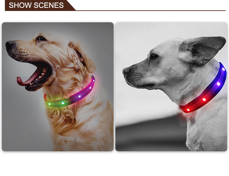 silicone dog collar lights waterproof inquire now for pet-12