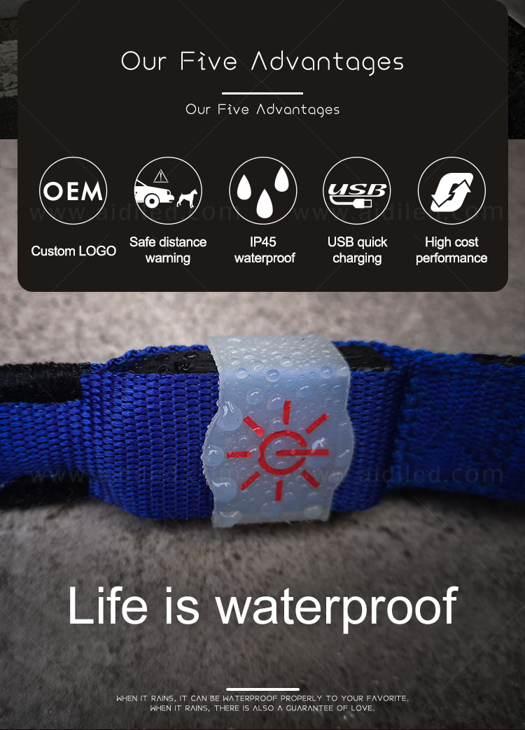 AIDI nylon led light dog leash with good price for walking-6
