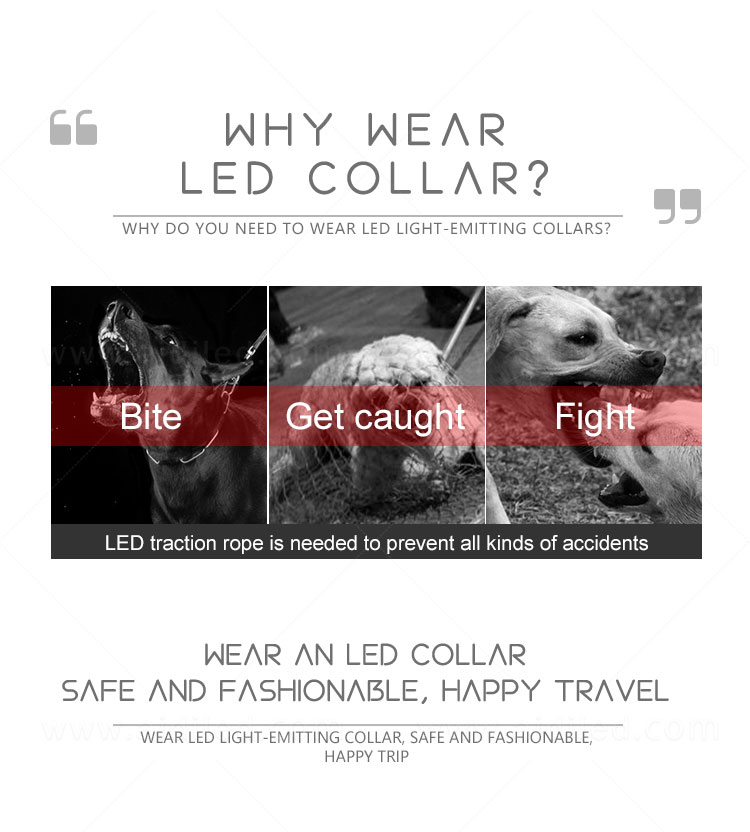 AIDI nylon led light dog leash with good price for walking-7