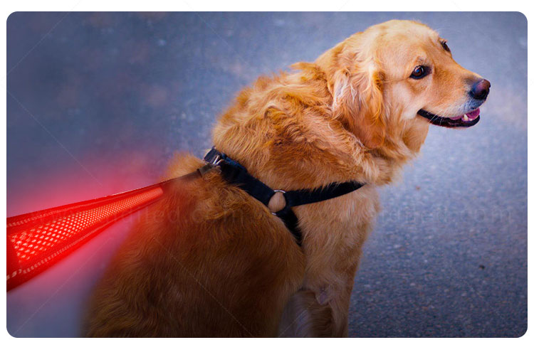 AIDI nylon led light dog leash with good price for walking-14