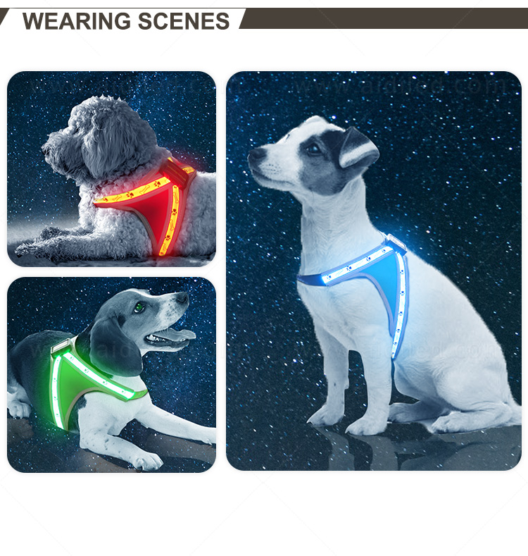 AIDI nylon light up dog harness manufacturer for pet-13