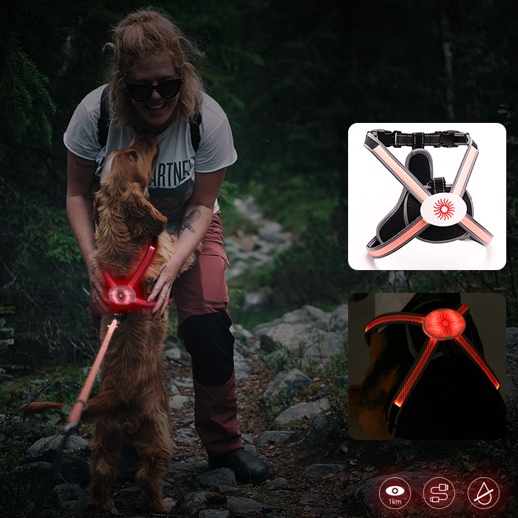 RGB Rainbow Color Led dog harness AIDI-H7