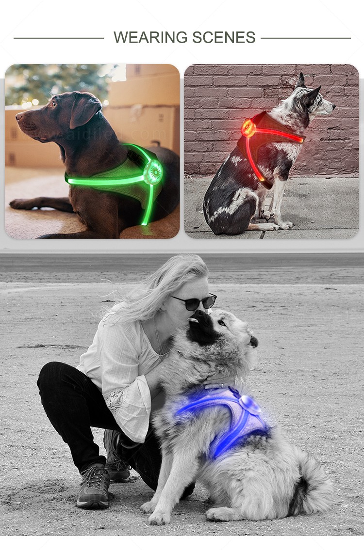 AIDI reflective glowing dog collar directly sale for outdoors-11