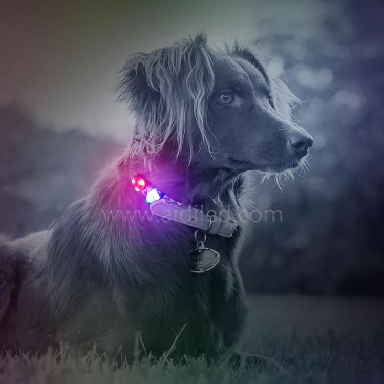 led silicone pet light AIDI-M1