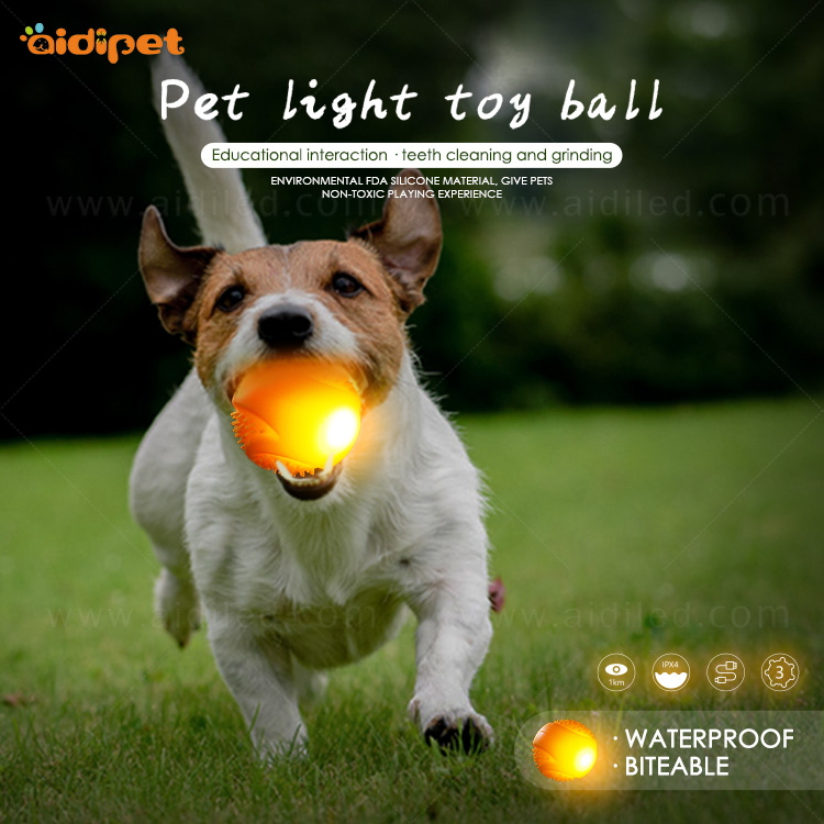 led dog ball