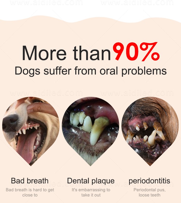 AIDI dogs accessories wholesale for dog-2