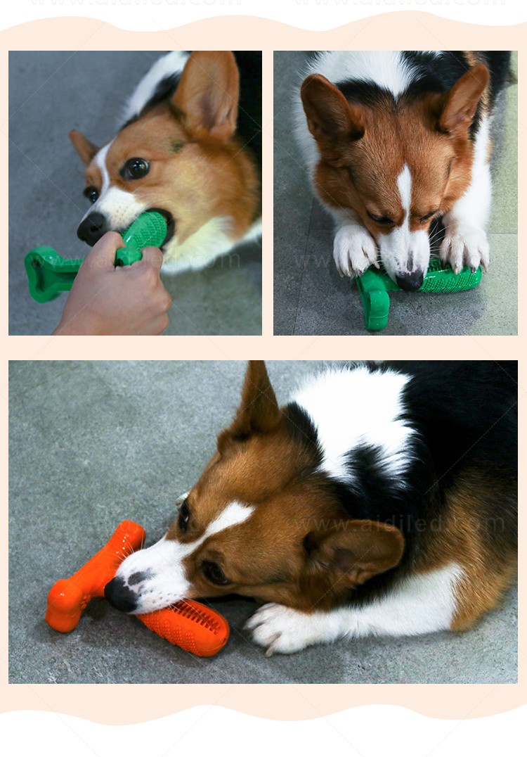 AIDI dogs accessories wholesale for dog-12