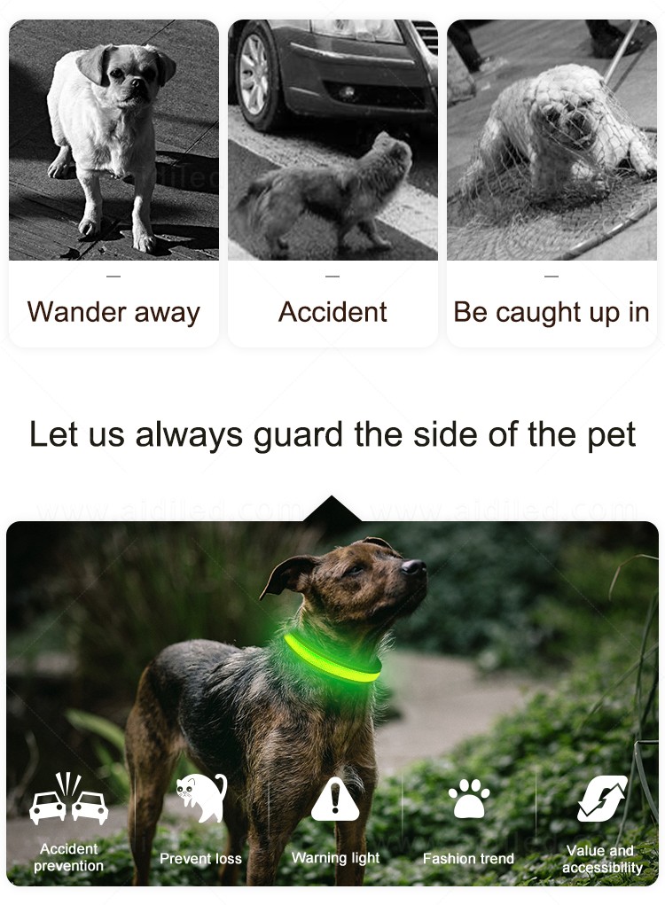 AIDI durable led collar light factory for walking-3