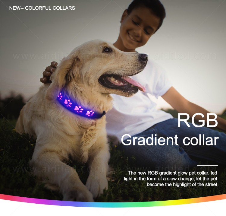 AIDI durable led collar light factory for walking-1