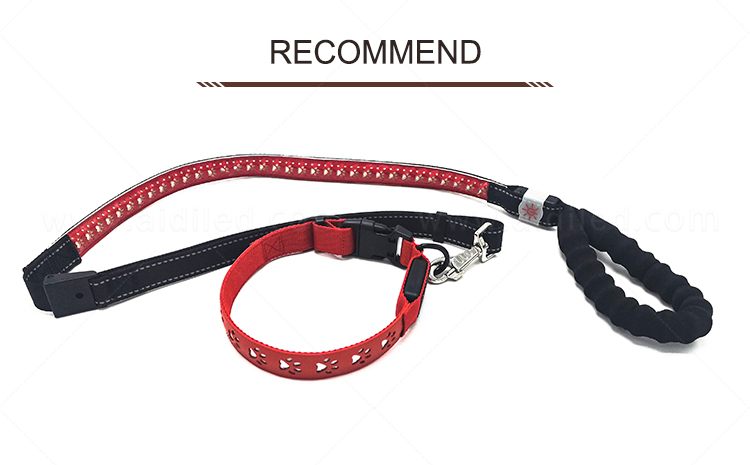 AIDI durable led collar light factory for walking-2