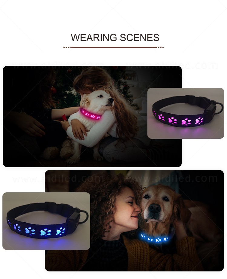 AIDI durable led collar light factory for walking-14