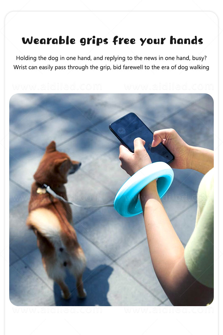 AIDI nylon light up dog collar and leash factory for park-5