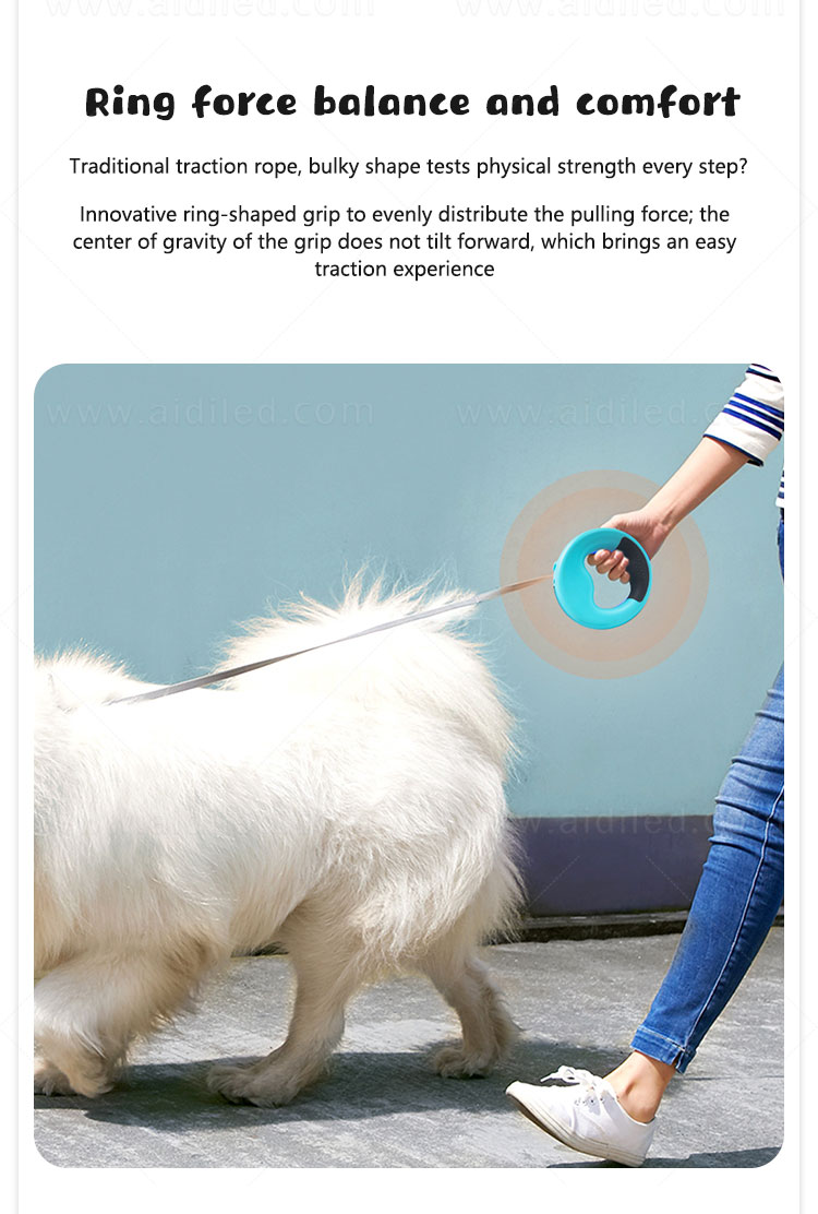 AIDI nylon light up dog collar and leash factory for park-6