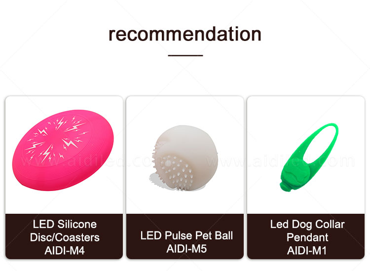AIDI nylon light up dog collar and leash factory for park-14