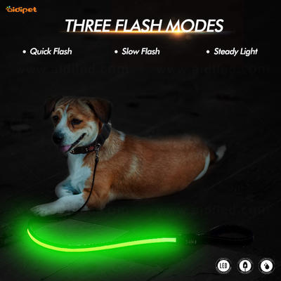 L30 Led reflective dog leash