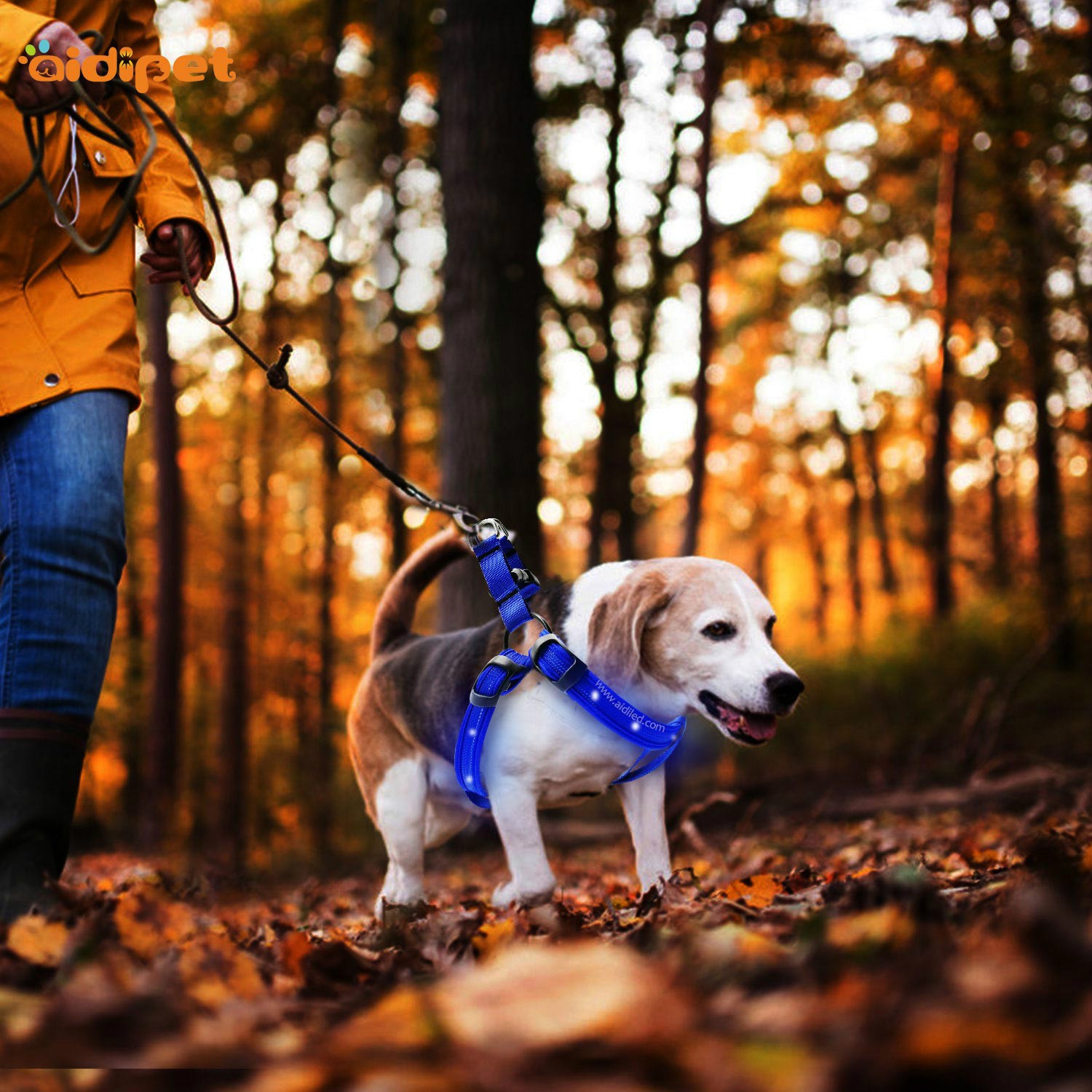 news-AIDI-Choses à considérer lors de l'achat de vos fournitures pour animaux de compagnie-img