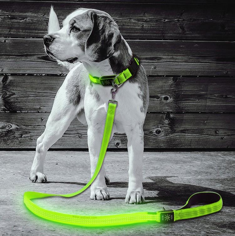 reflective best led dog leash inquire now for park-1
