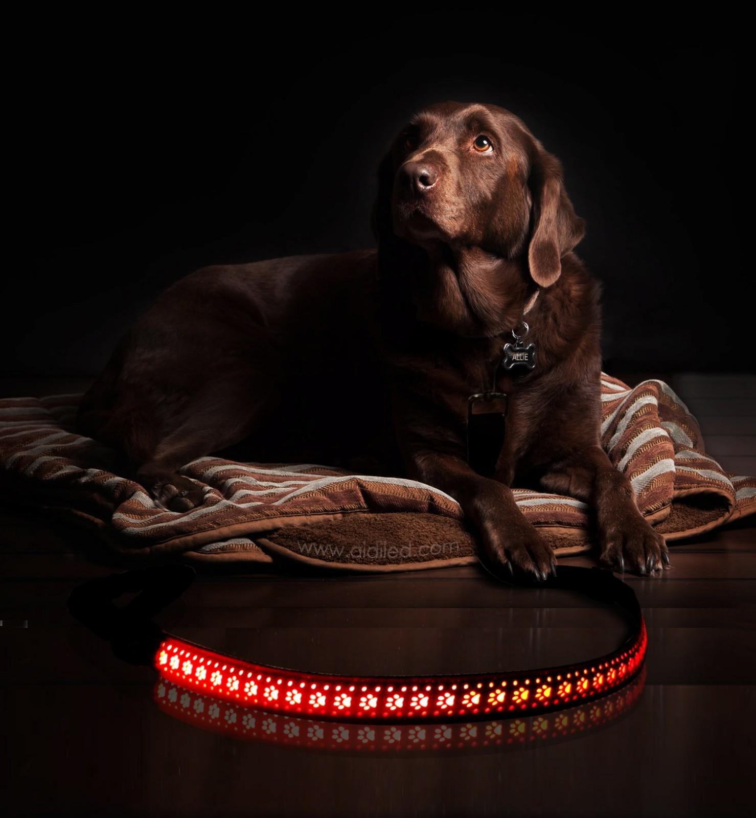 AIDI-High-quality Best Led Dog Leash | Led Pu Leather Dog Leash Aidi-l6