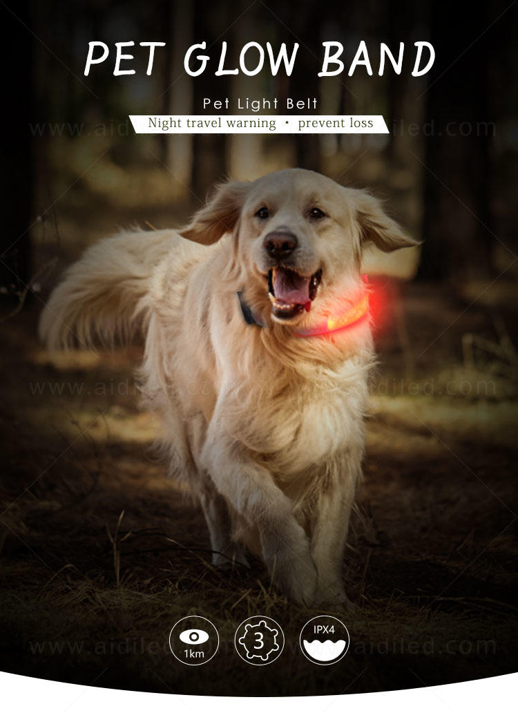 AIDI dog collars and accessories wholesale for outdoors-2