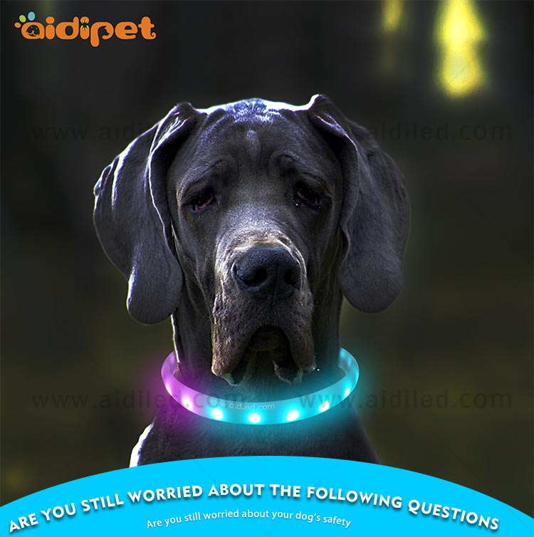 AIDI-Led Light Up Dog Collar, Fish Filament Rechargeable Led Dog Leash