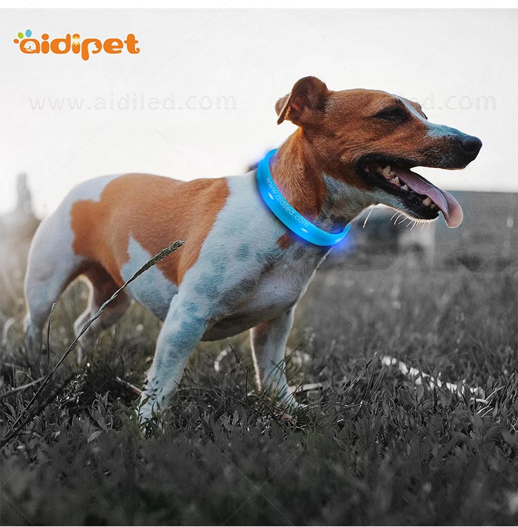 filament night dog collar factory for outdoors-8