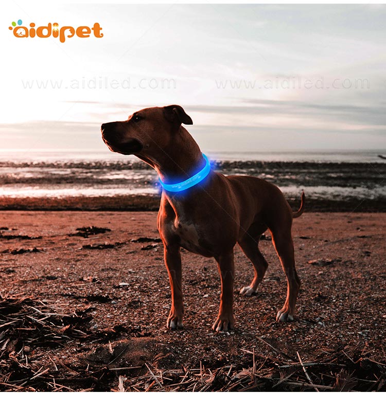 filament night dog collar factory for outdoors-9