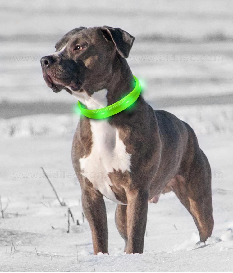 filament night dog collar factory for outdoors-7