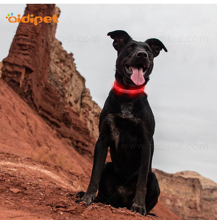 filament night dog collar factory for outdoors-10