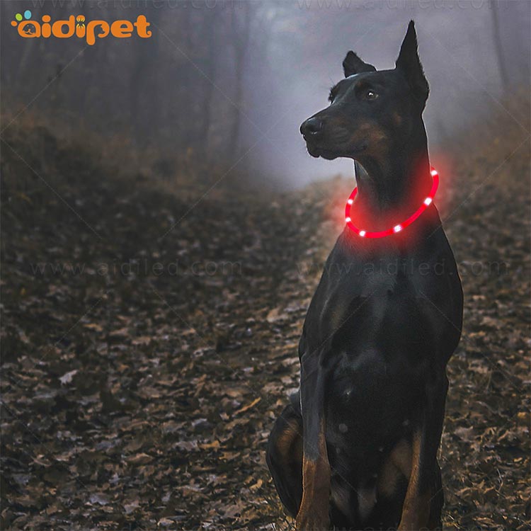 AIDI glowing best dog collar light design for walking-11