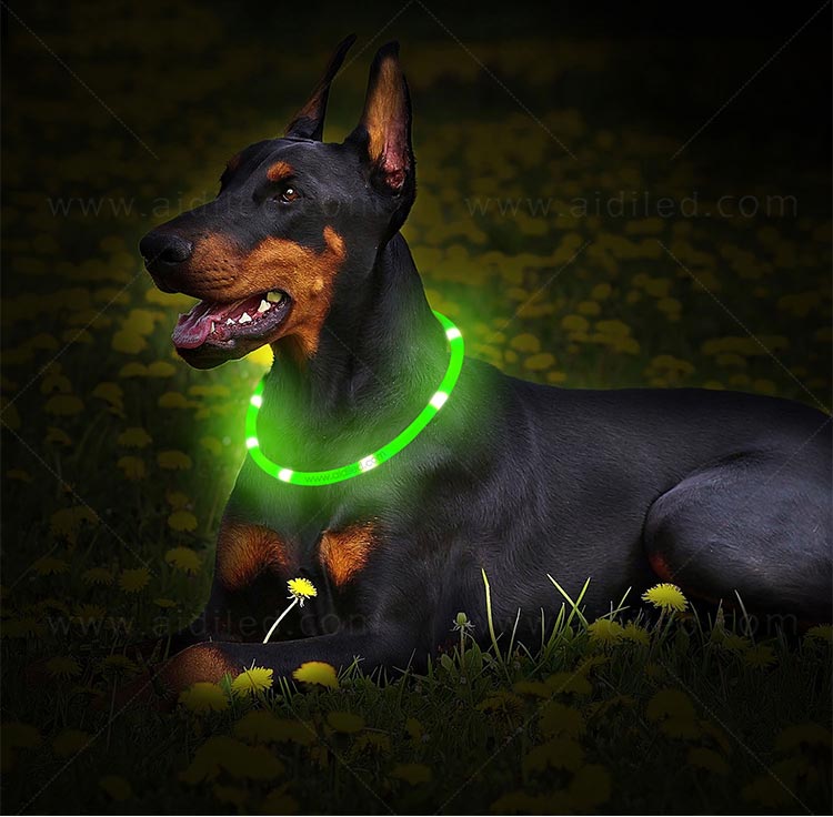 AIDI glowing best dog collar light design for walking-12