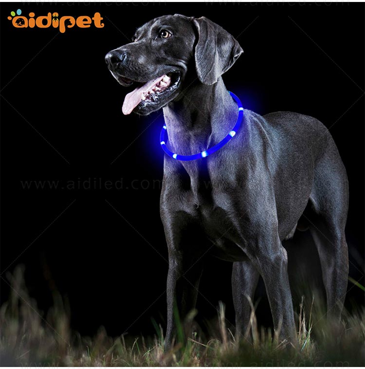 AIDI glowing best dog collar light design for walking-13