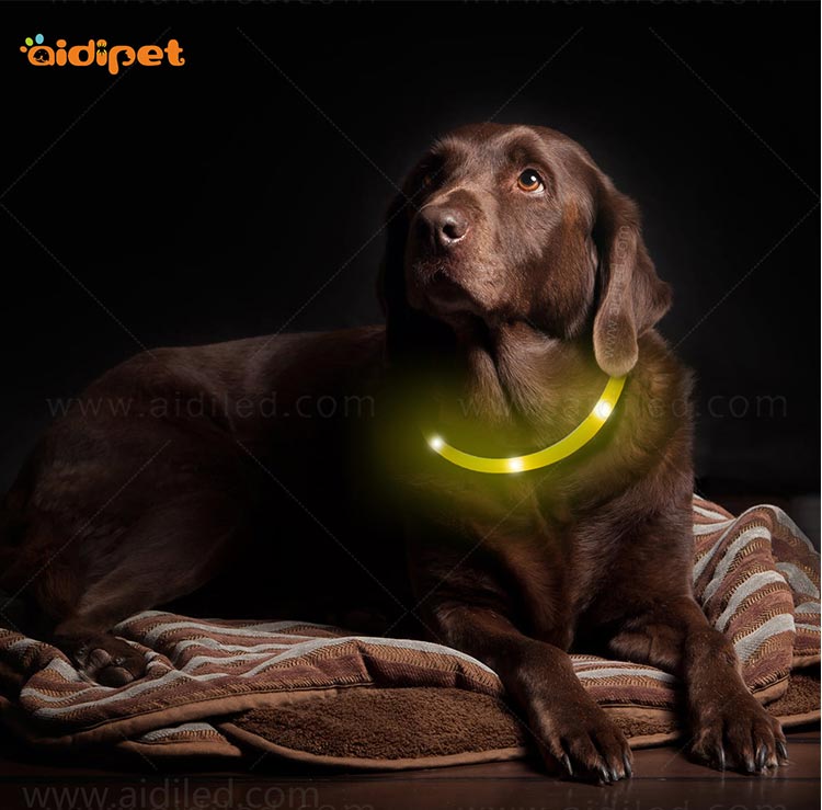 AIDI glowing best dog collar light design for walking-14