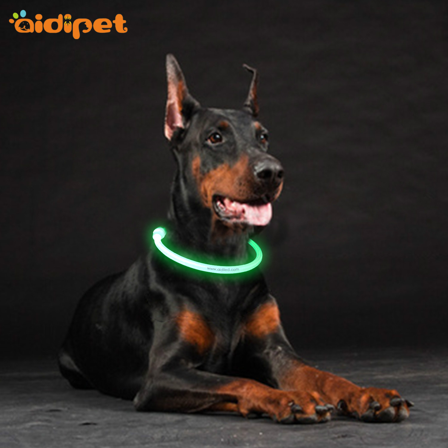 AIDI-C1 LED dog collar
