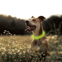 AIDI-C2 New Style Bright Light Nylon Led Dog Collar